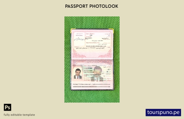 listo para imprimir plantilla de apariencia fotográfica del pasaporte de Irán ()